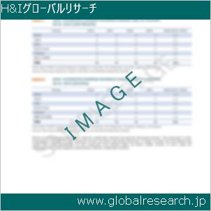 グローバルリサーチ調査レポートのイメージ